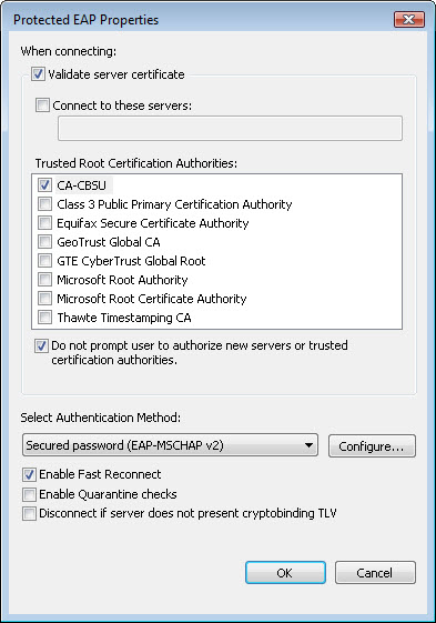 Windows Vista Manual Connection Details 5