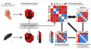 RSA Workshop Illustration_box1fig1_RSA_n